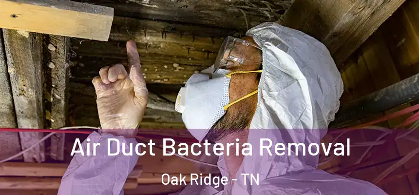  Air Duct Bacteria Removal Oak Ridge - TN