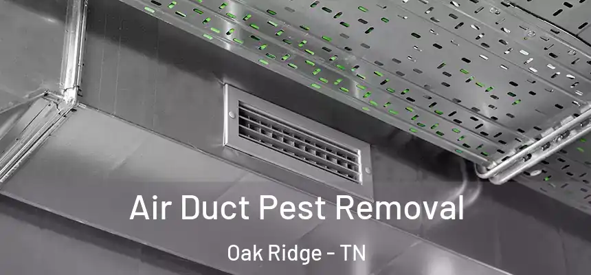  Air Duct Pest Removal Oak Ridge - TN