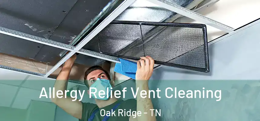  Allergy Relief Vent Cleaning Oak Ridge - TN