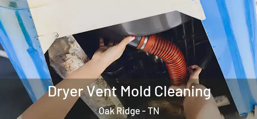  Dryer Vent Mold Cleaning Oak Ridge - TN