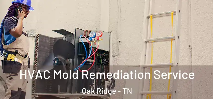  HVAC Mold Remediation Service Oak Ridge - TN