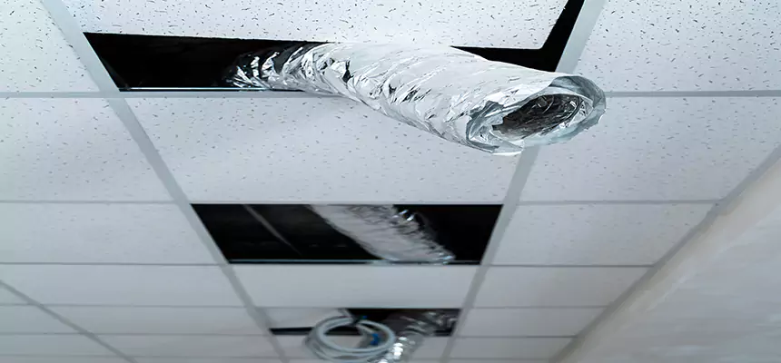 Our Air Duct Pet Hair Removal Services in Oak Ridge, TN