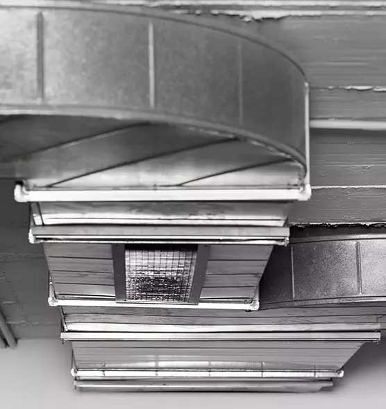 Professional Air Duct Pet Hair Removal in Oak Ridge, TN