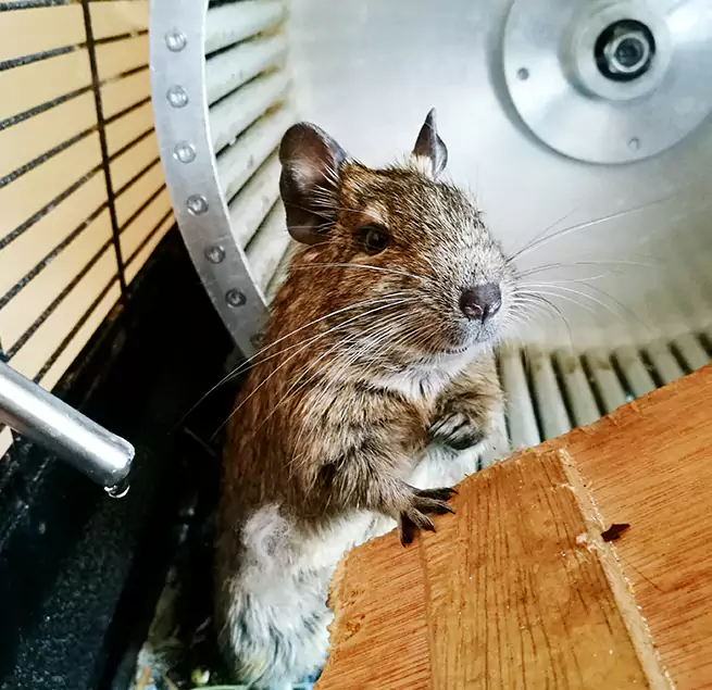 Why Homeowners & Businesses Trust Us Oak Ridge, TN